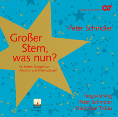 Großer Stern, was nun? (CD)